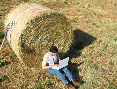 Man leaning on a bale of hay using laptop