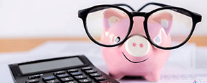 Small pink pig with huge glasses and a calculator